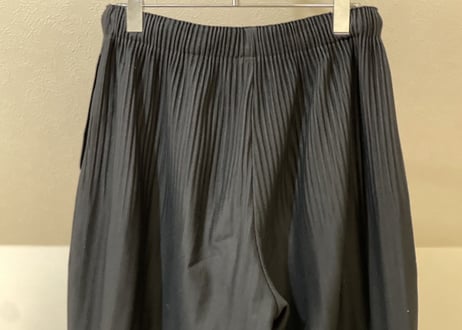 hommeplisse isseymiyake pleats pants