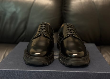 dior leather shoes dead stock