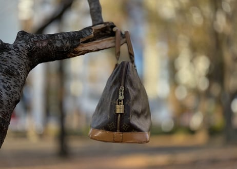 louis vuitton monogram bag b