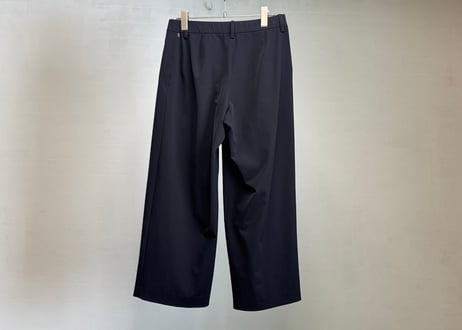 isseymiyake easy wide pants