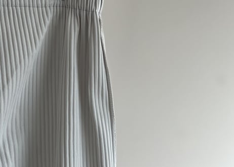 isseymiyake pleats pants