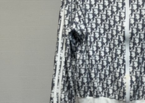 dior trotter jacket