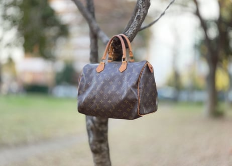 louis vuitton  monogram bag c