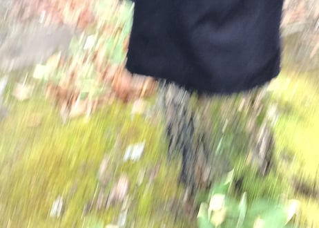 paul smith×lolo piana coat
