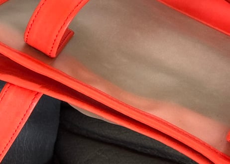 loewe anagram clear bag