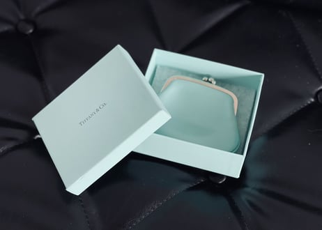 tiffany leather pouch