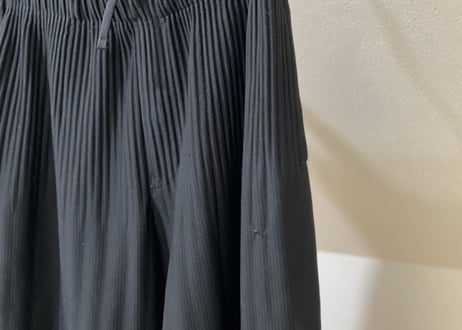 hommeplisse isseymiyake pleats pants