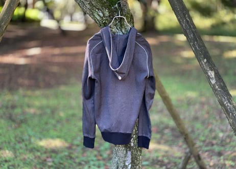 diorhomme "蜂bee" hoodie