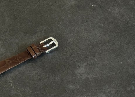 hermes drees wathch windsor