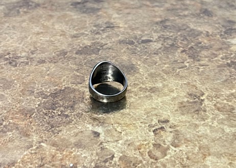 bottega veneta 2020aw ring 17号 dead stock