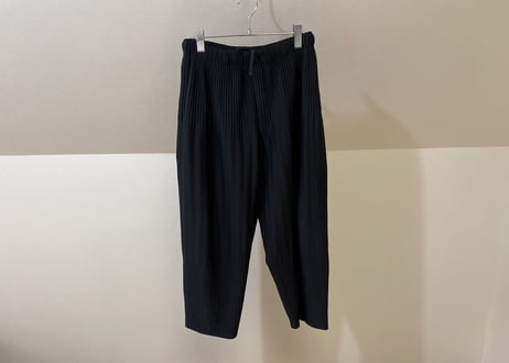 hommeplisse isseymiyake pleats pants