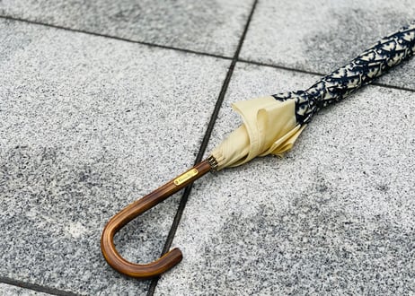70-80s christian dior trotter umbrella