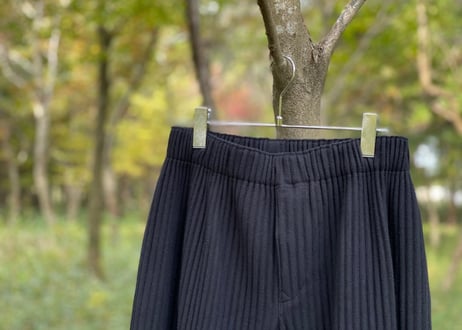 homme plisse issey miyake pants