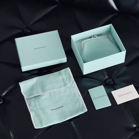 tiffany leather pouch