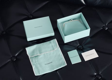 tiffany leather pouch
