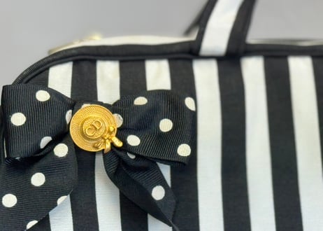 dior stripe bag
