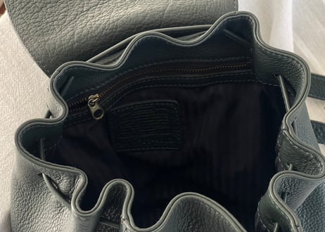 old coach leather bag green