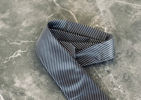 dior homme by  hedi slimane stripe neck tie