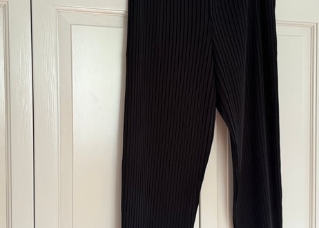 isseymiyake pleats pants