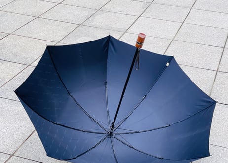 90s christian dior umbrella