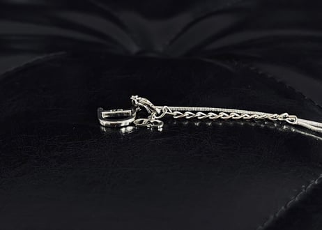 dior necklace #A