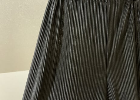 pleats wide pants dead stock