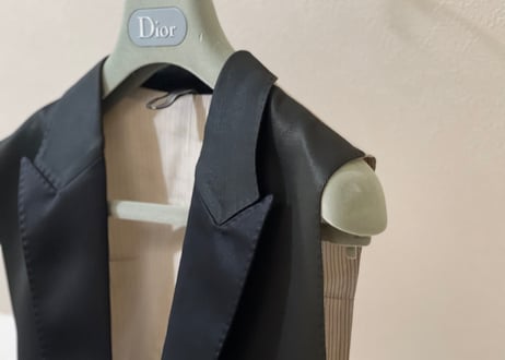 diorhomme 2017ss gilet