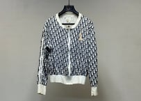 dior trotter jacket