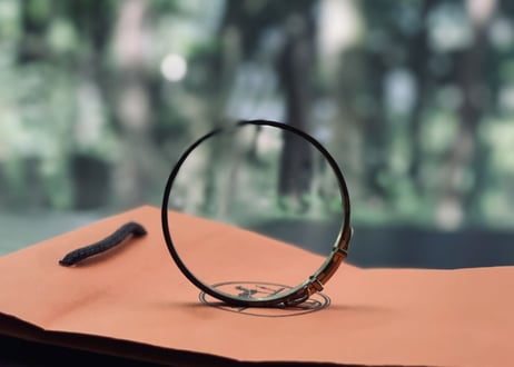 hermes crocodile bracelet
