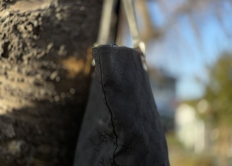 gucci bag