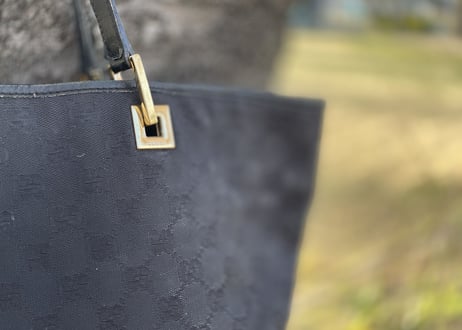 gucci bag