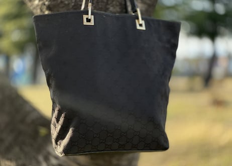 gucci bag