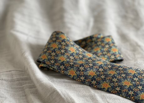 hermes neck tie #4