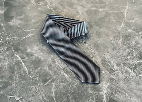 dior homme by  hedi slimane stripe neck tie