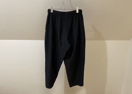 hommeplisse isseymiyake pleats pants