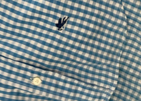 etro check shirt