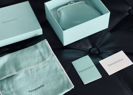 tiffany leather pouch