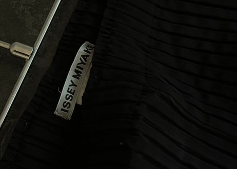 isseymiyake pleats pants