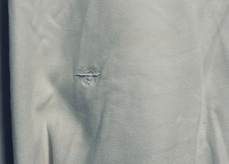diorhomme by ”Hedi Slimane” 蜂 bee tops