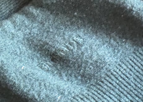 burberry cardigan