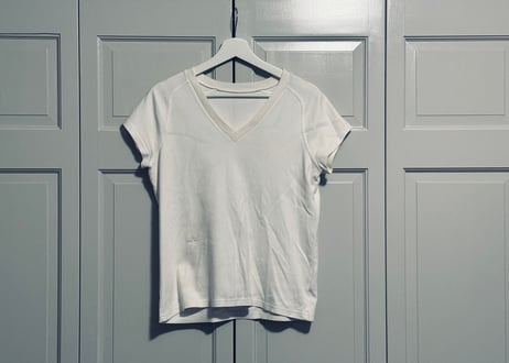diorhomme by ”Hedi Slimane” 蜂 bee tops