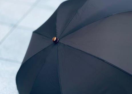 prada umbrella
