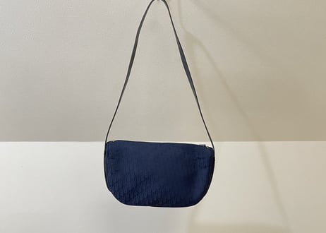 dior trotter shoulder bag