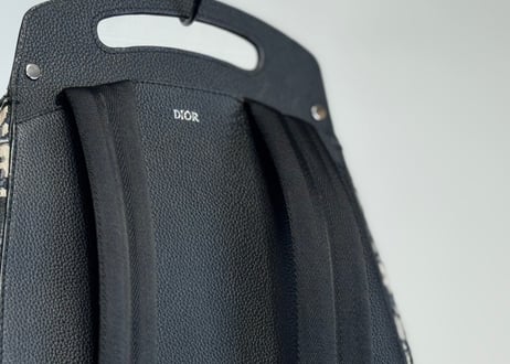 dior saddle logo back pack