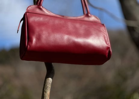 alexander mcqueen leather bag