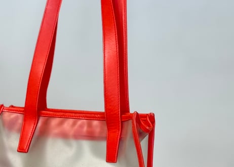 loewe anagram clear bag