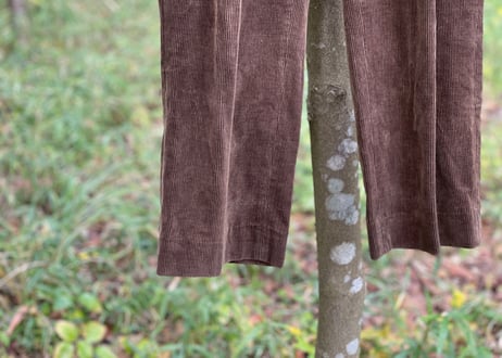 burberry corduroy wide pants