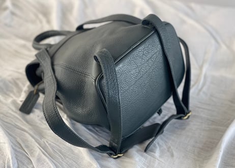 old coach leather bag green