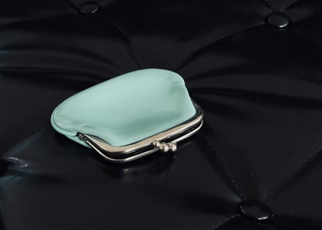 tiffany leather pouch