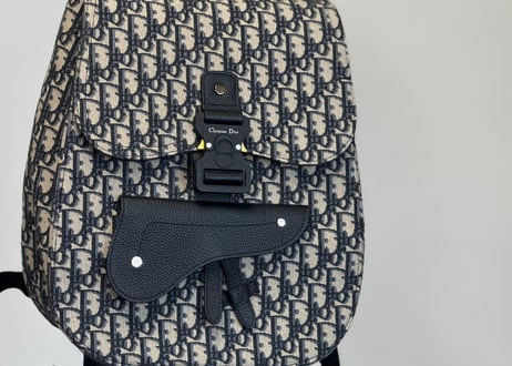 dior saddle logo back pack